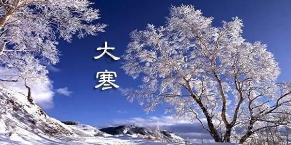 全民烧脑3去广告版