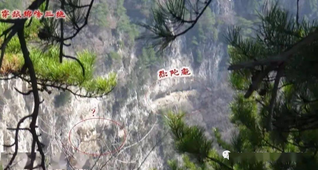 沪江开心词场