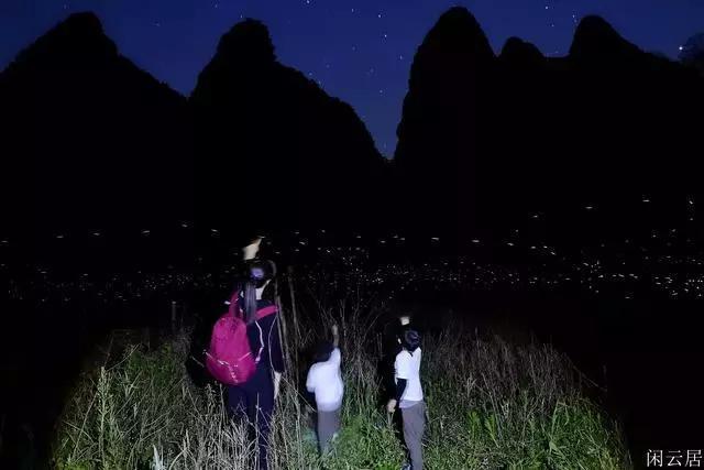 赛博朋克酒保行动