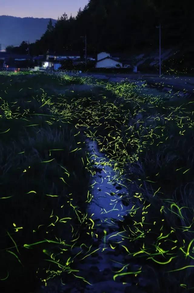 救生艇逃生