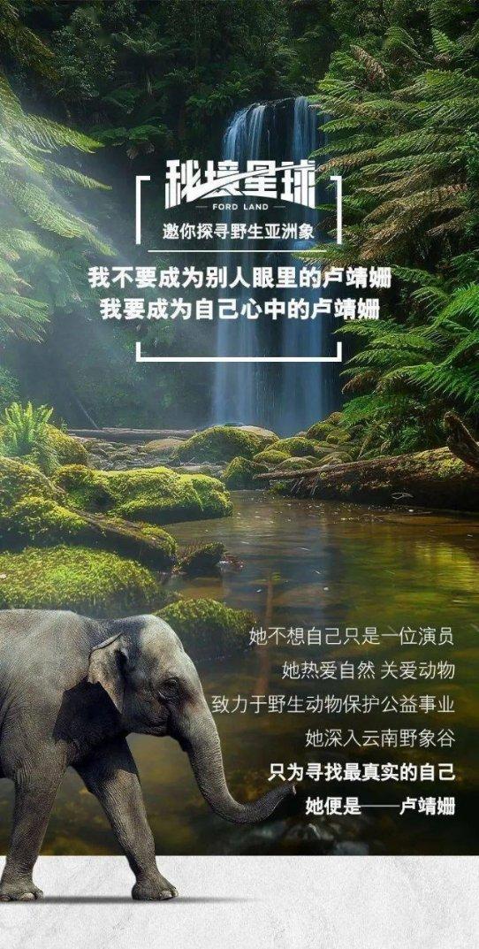 金桔到底吃不吃皮?