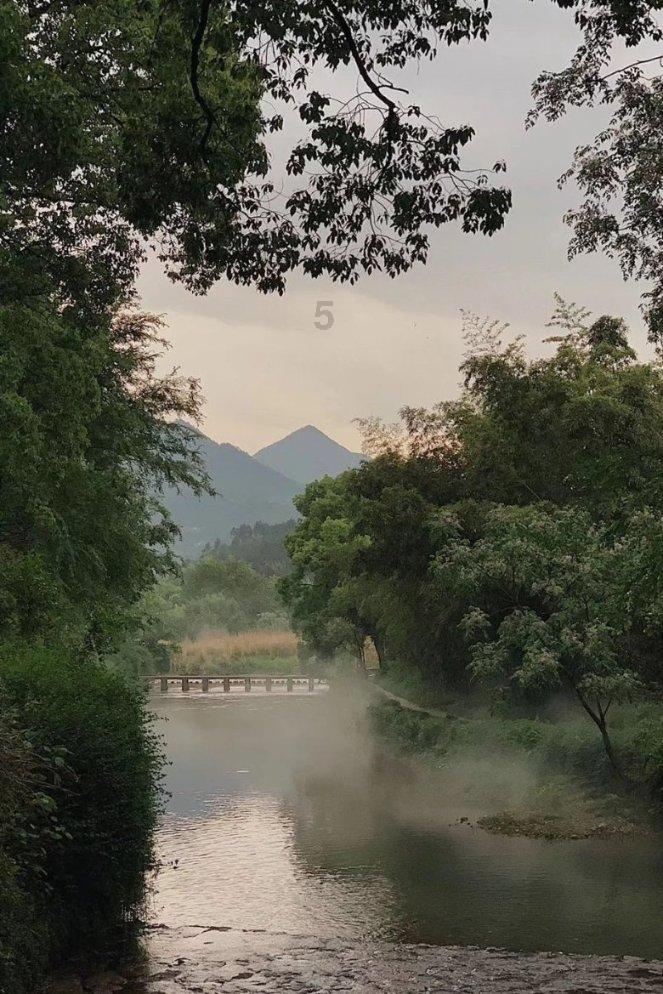 救援音乐系学生