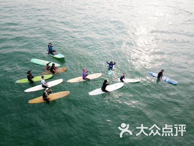 虫虫助手下载