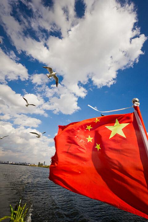 滚动的奶酪