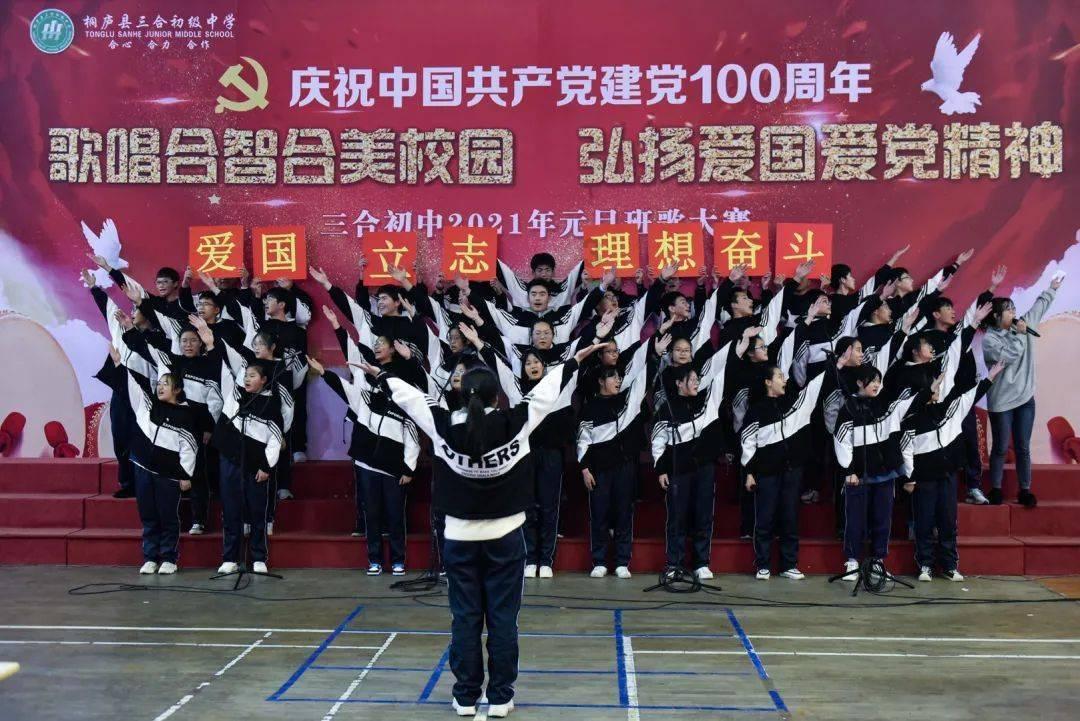 碗酱压盖机,200升自流式陶瓷泵压盖机