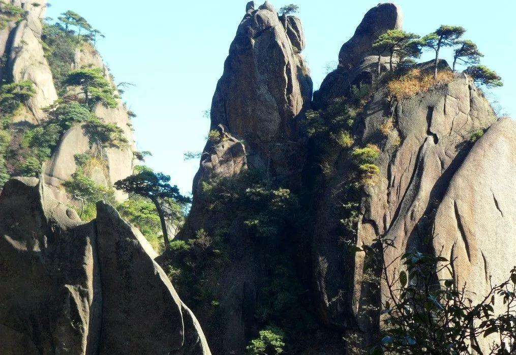 邻居的需求