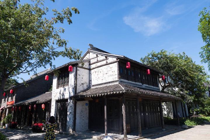 动物帮帮忙保卫家园