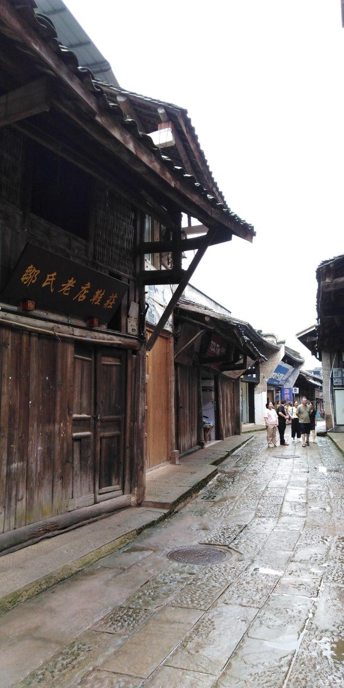 一个月销量10余万株,老顾客提前半年预定,“年宵花”蝴蝶兰迎销售旺季