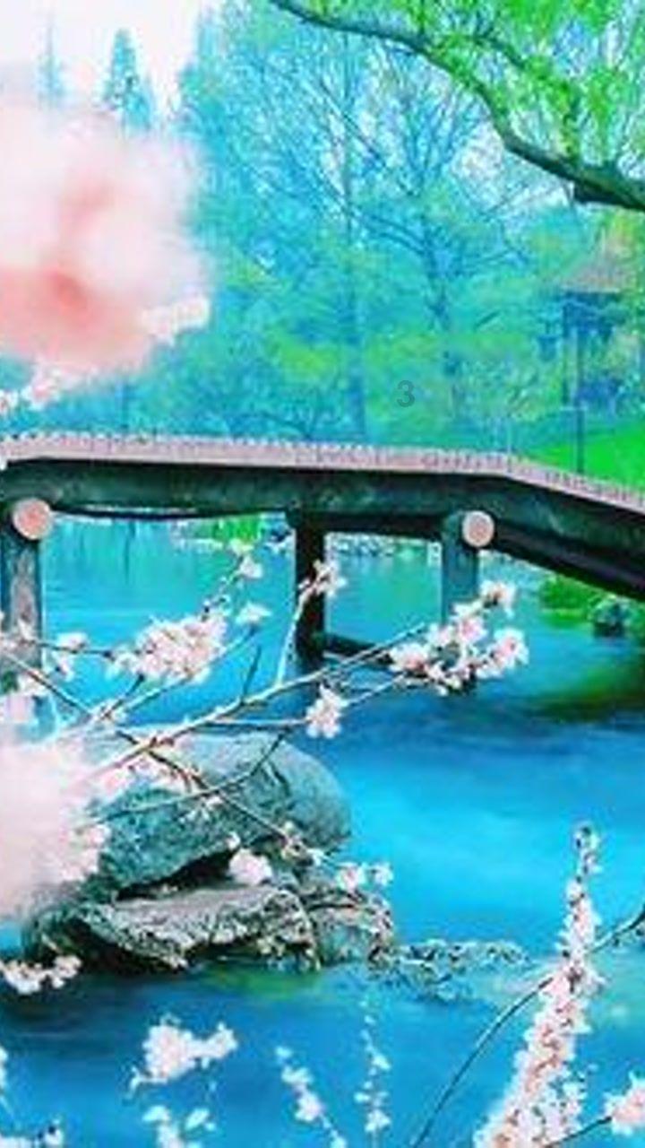探索蜗牛世界,尽在百顺后边加一个什么字好听?蜗牛问答平台