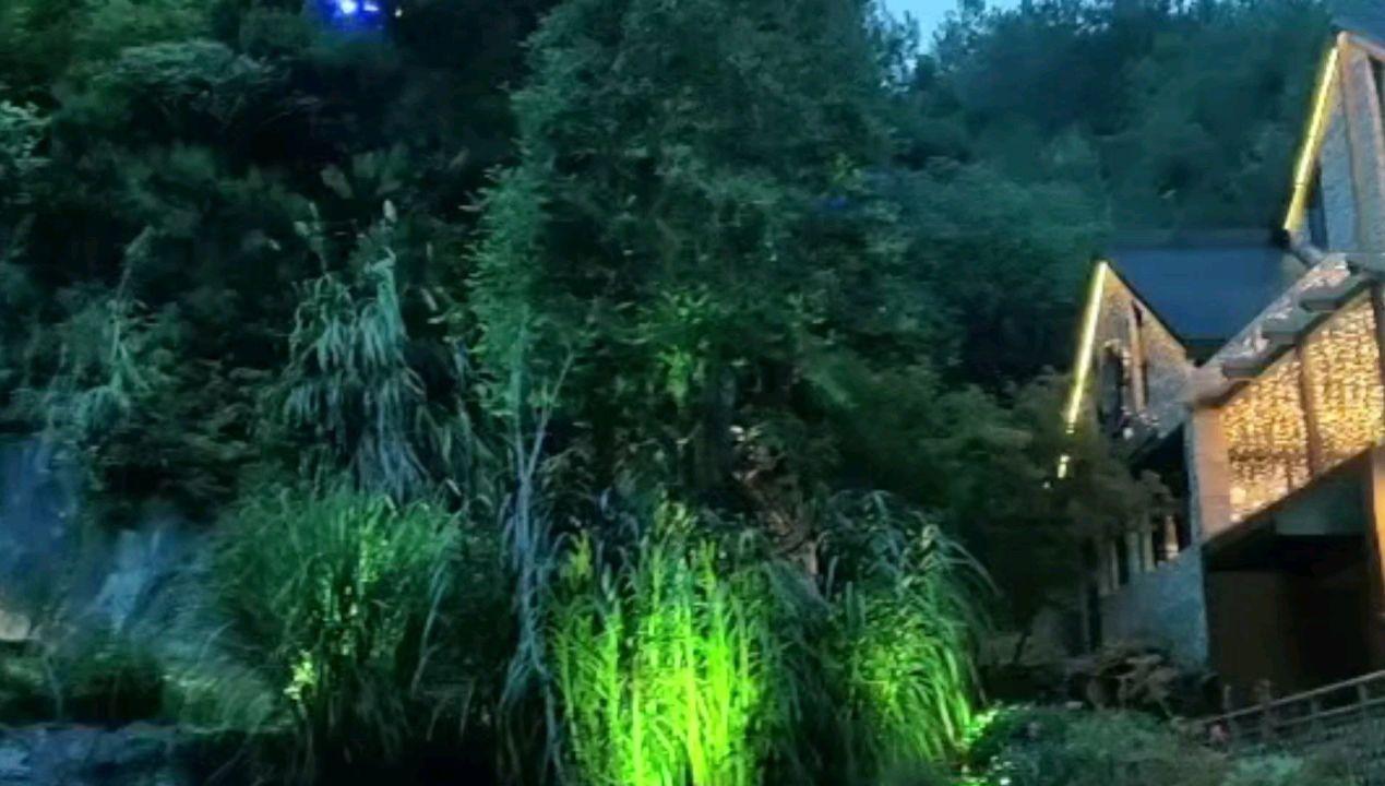 明星打造单身人设获取粉丝的信任并非个例！你如何看待明星单身人设？游戏画面